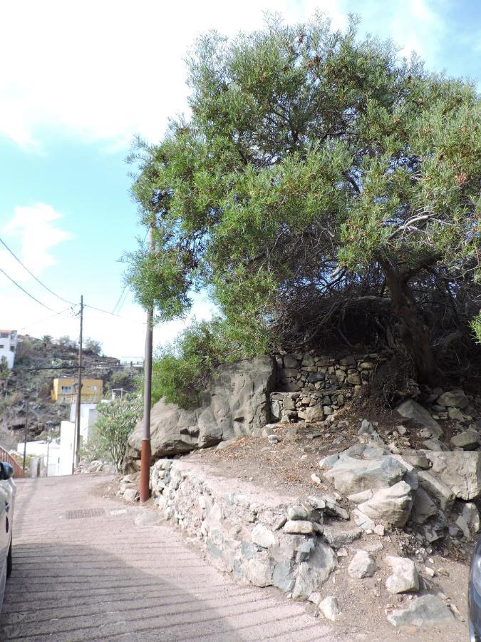 Casa Lilia, En Taganana Vila Santa Cruz de Tenerife Exterior foto